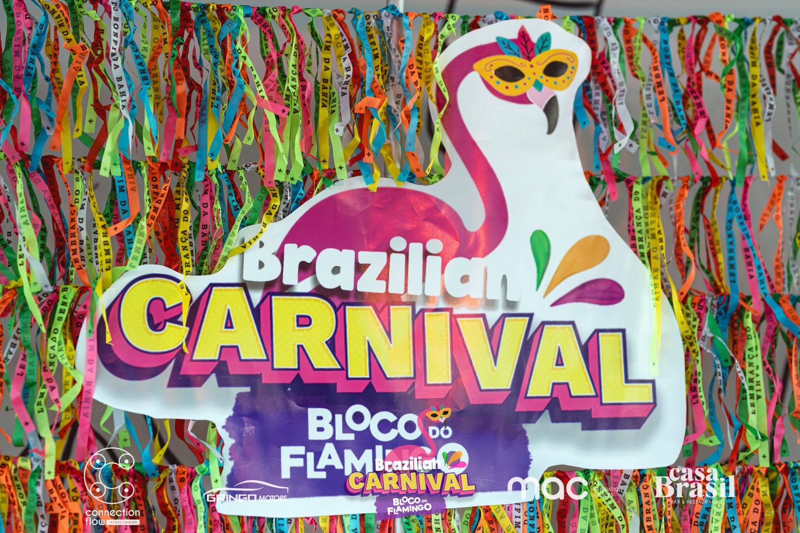Bloco do Flamingo, Gold Coast, photo 16