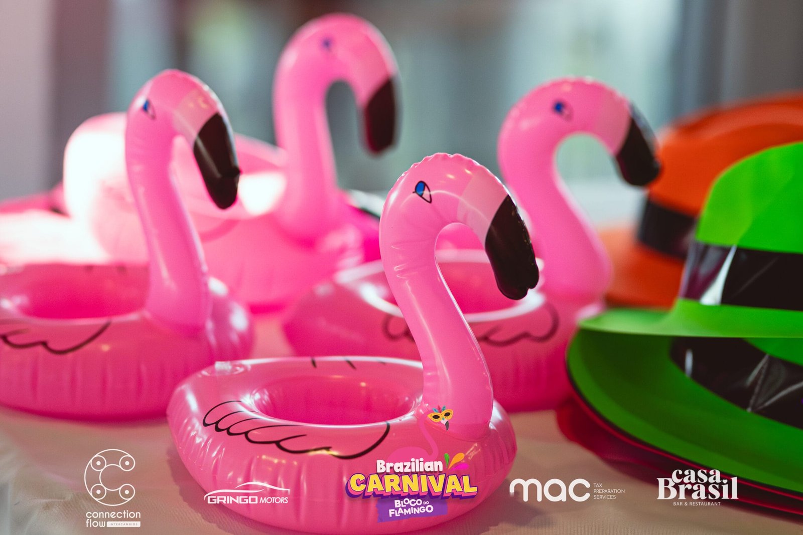 Bloco do Flamingo, Gold Coast, photo 17